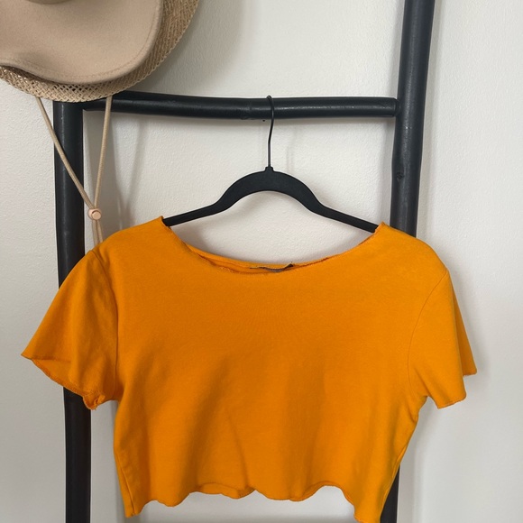 Zara Crop Top - Picture 2 of 3